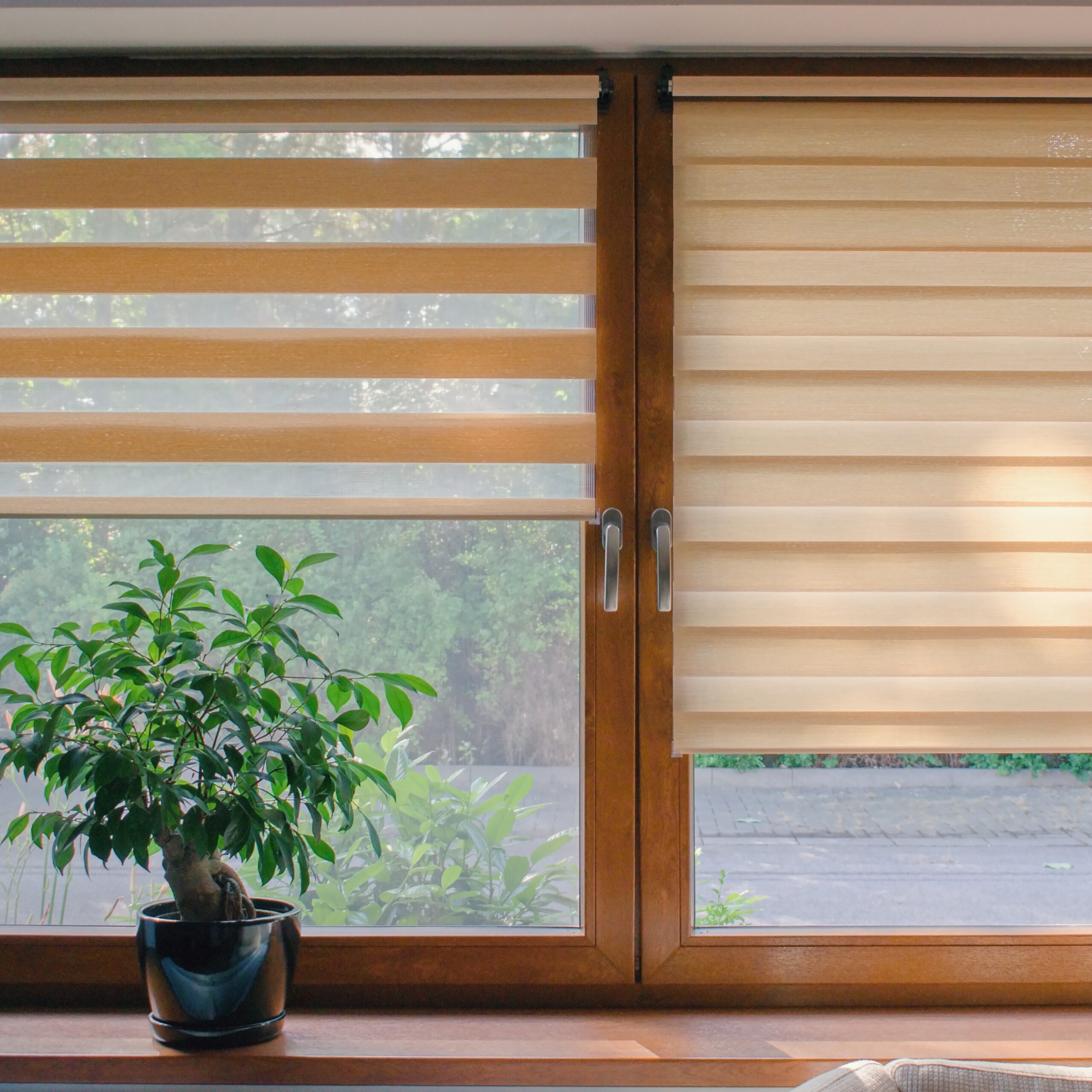 Window roller, duo system day and night.  Cozy home interior